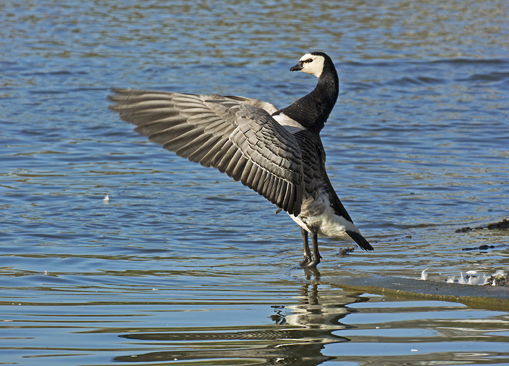 DSC_6011.jpg