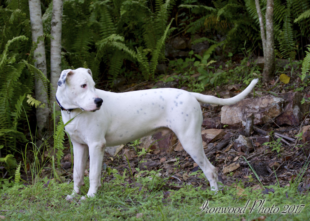 DSC_6012.jpg
