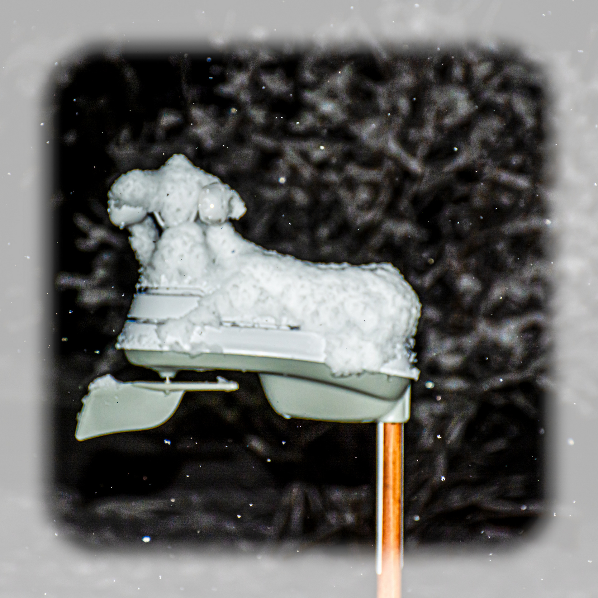 DSC_6014-Edit.jpg