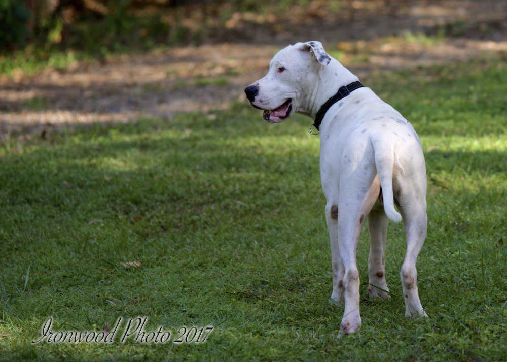 DSC_6017.jpg