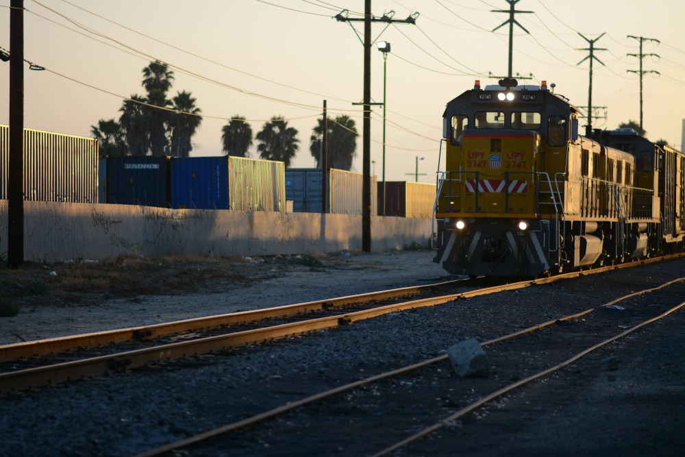DSC_6019.JPG