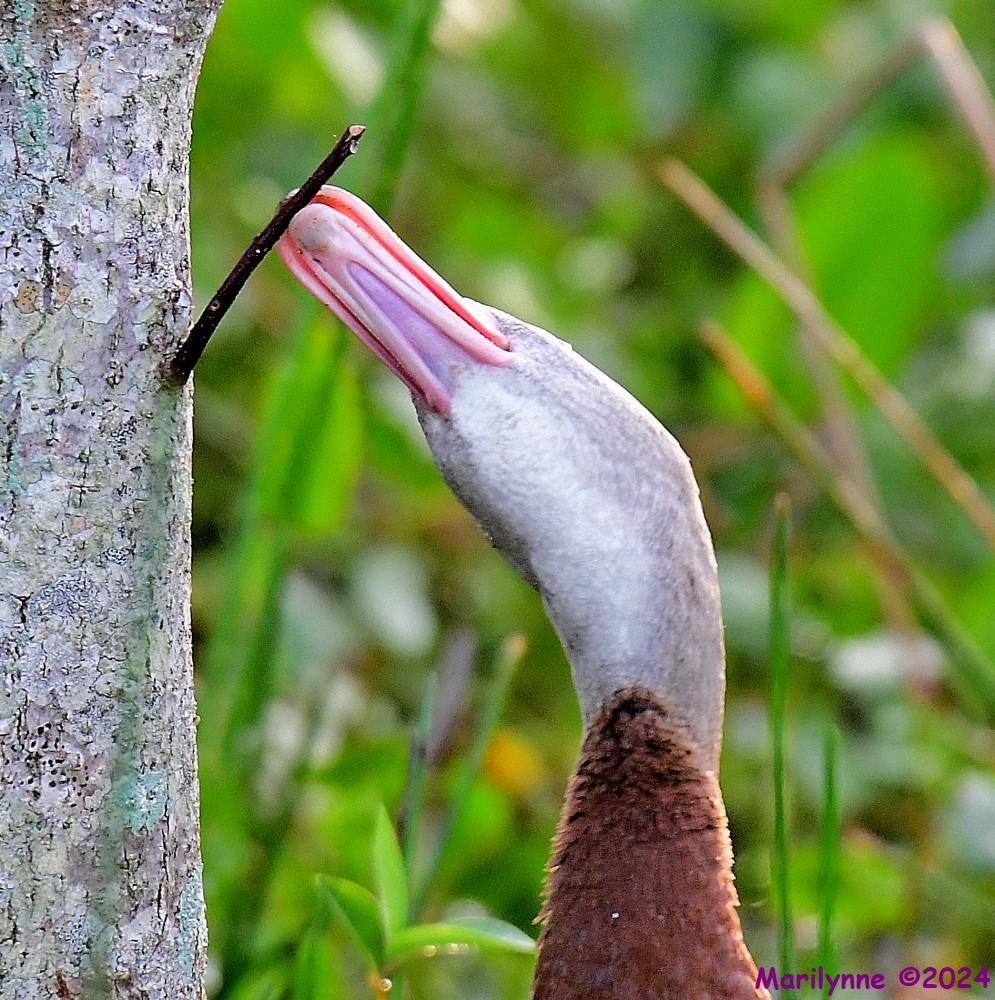 DSC_6021_001.JPG