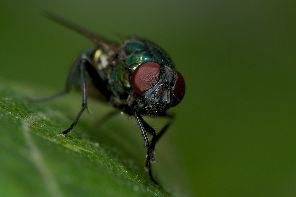 DSC_6022.jpg