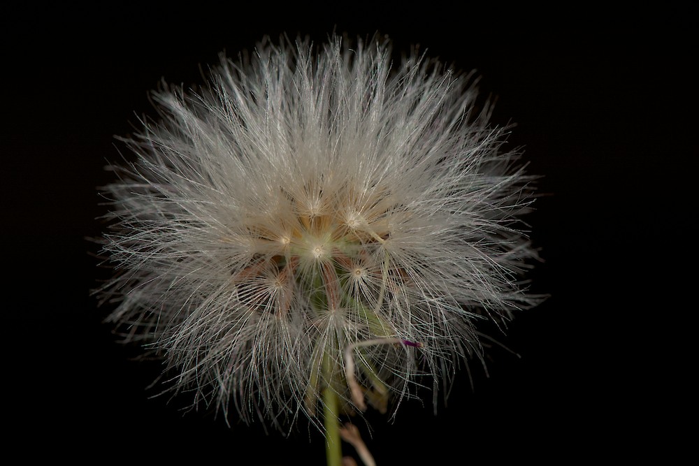 DSC_6024.jpg