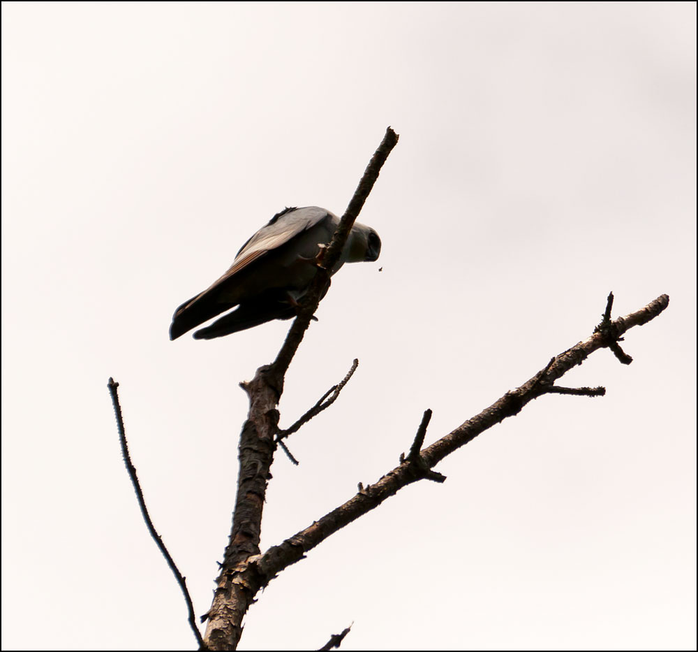 DSC_6027.jpg