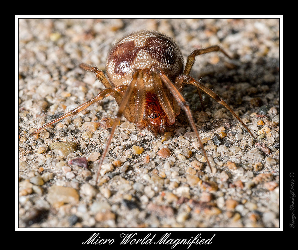 DSC_6027_Web.jpg