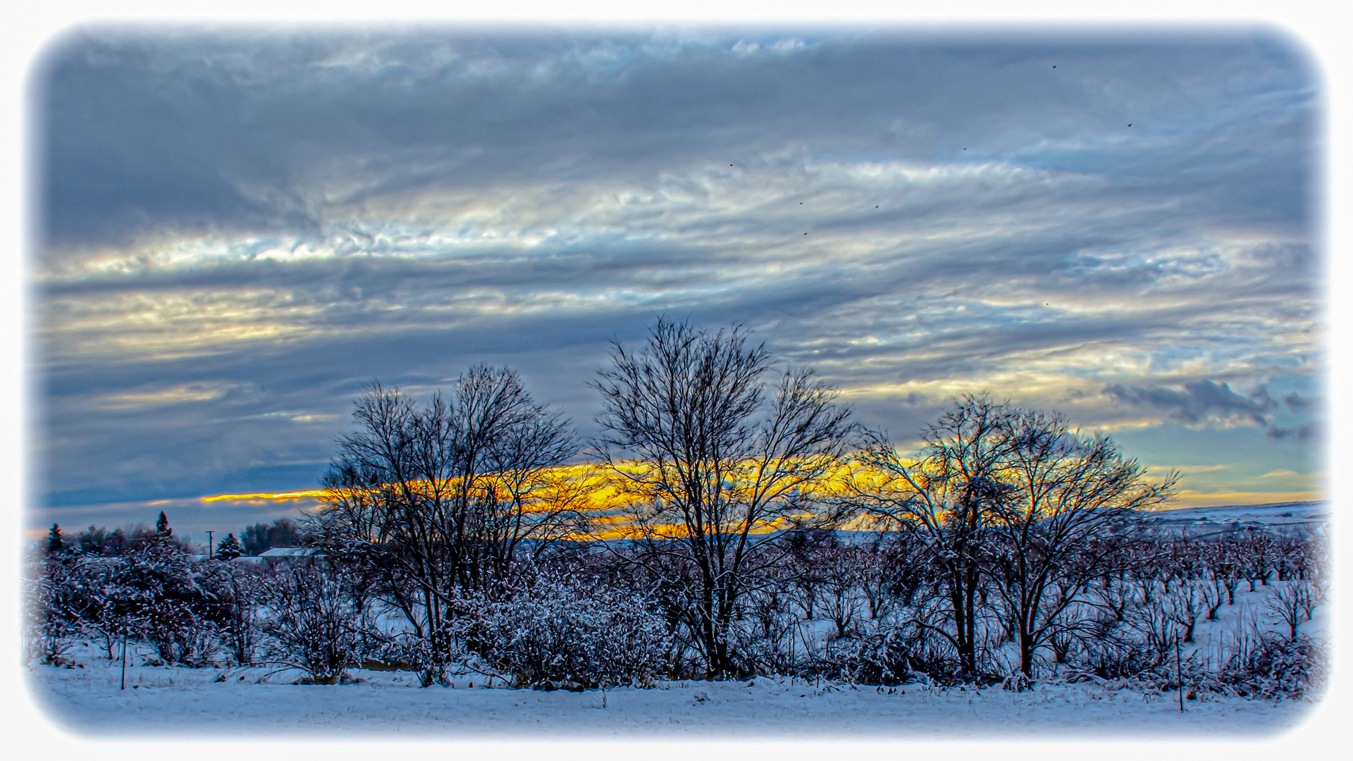 DSC_6034-Edit.jpg