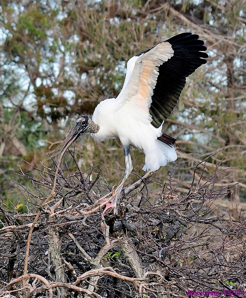 DSC_6039_001.JPG