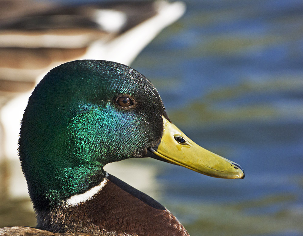DSC_6047.jpg