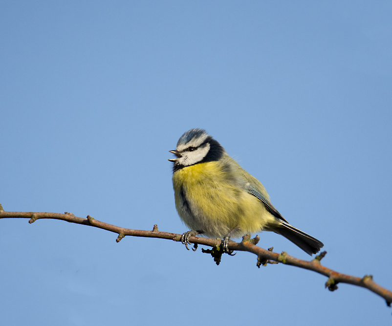 DSC_6049.jpg