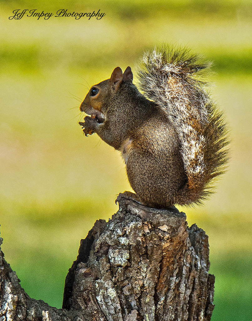 DSC_6049.jpg