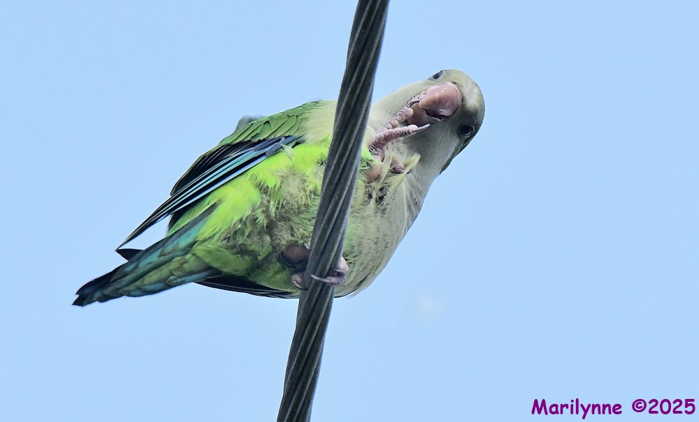 DSC_6049_001.JPG