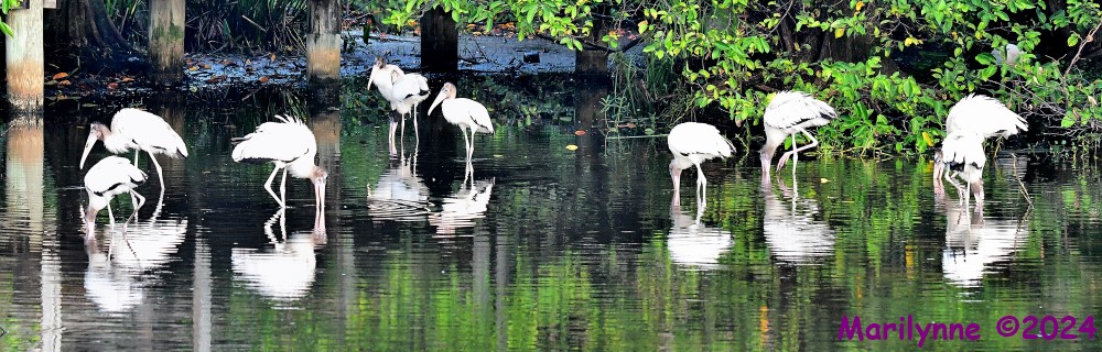 DSC_6051_stitch_001.JPG
