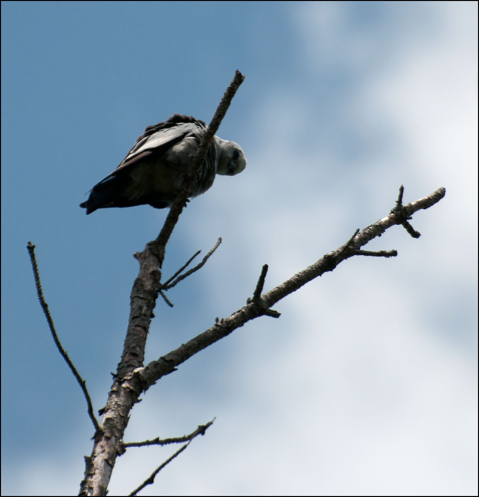 DSC_6053.jpg