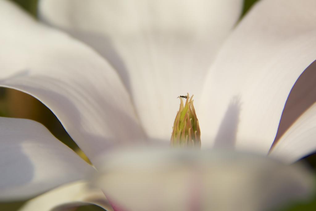 DSC_6055.jpg