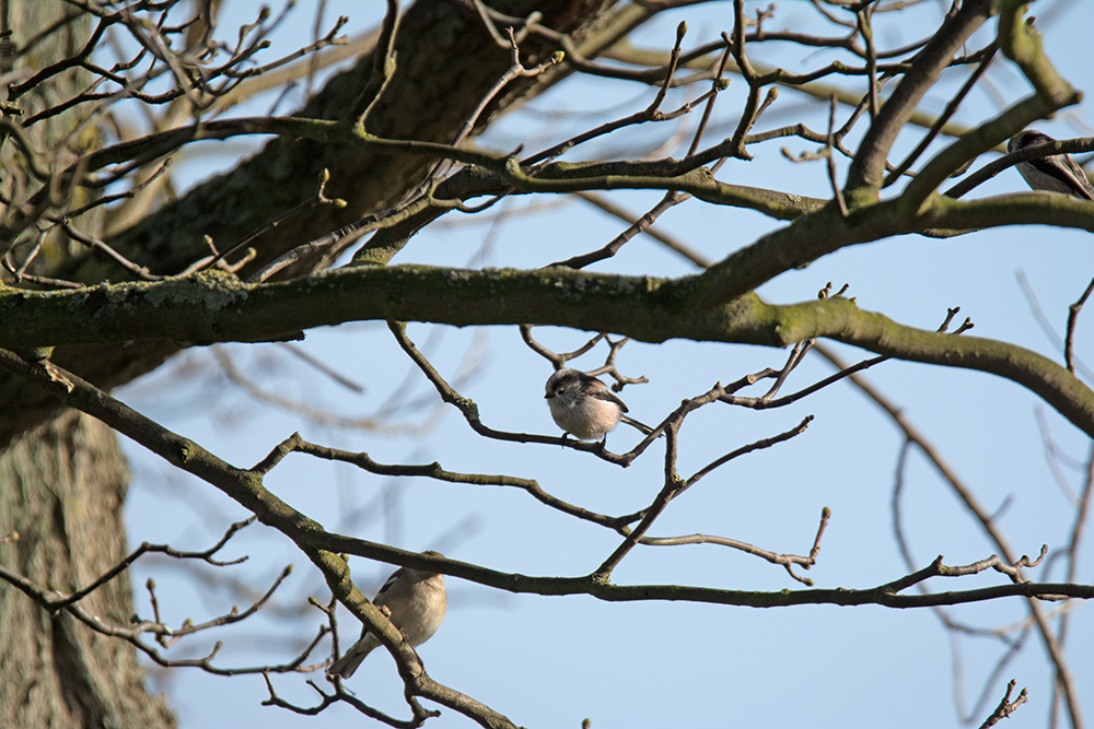DSC_60591.jpg