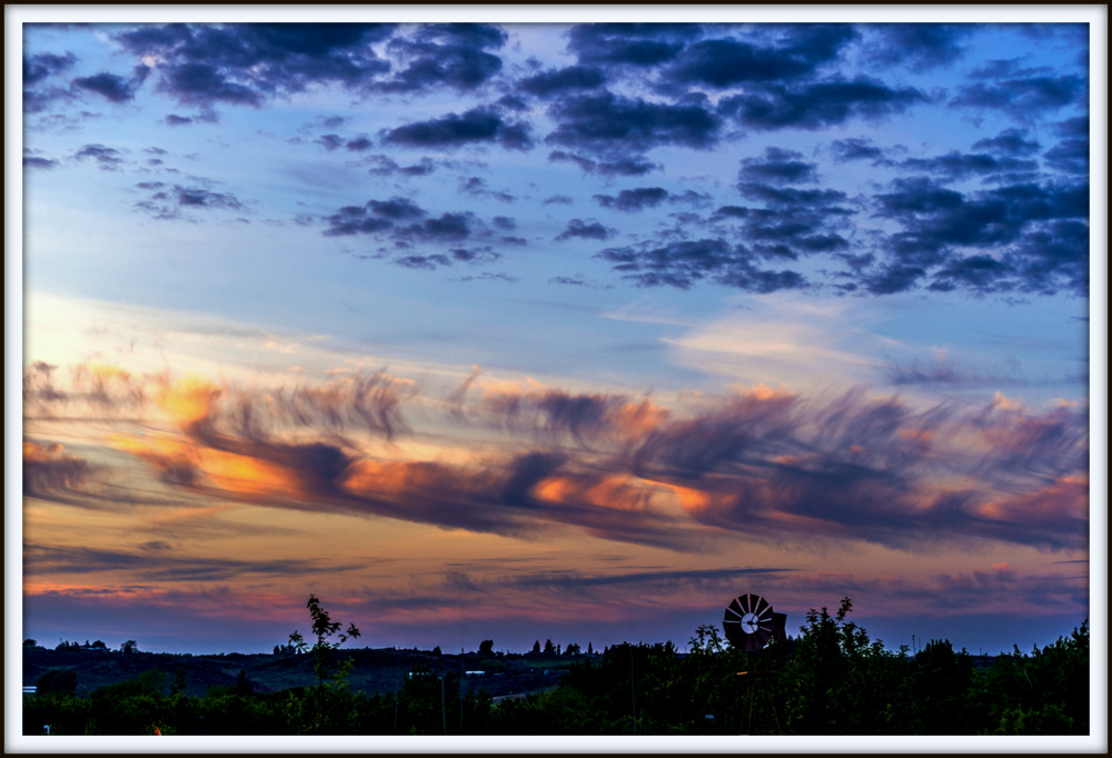 DSC_6060.jpg