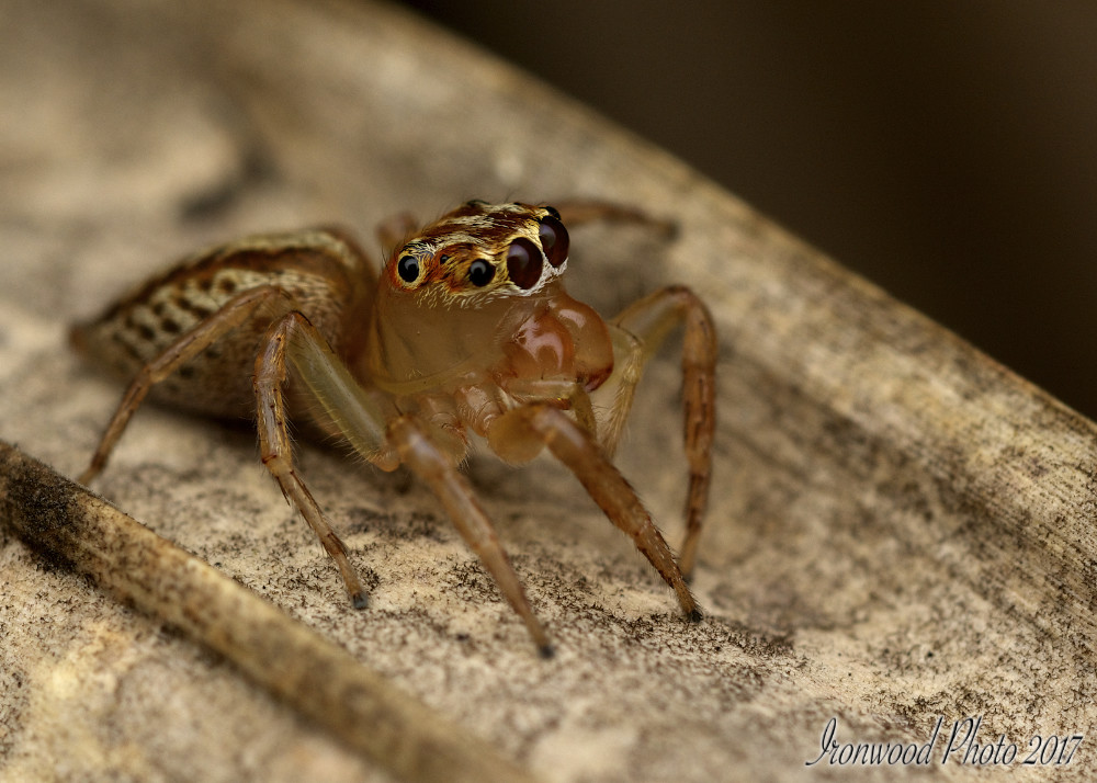 DSC_6064.jpg