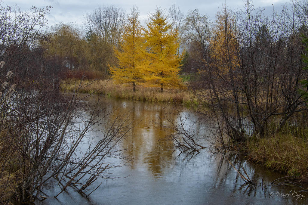 DSC_6065.jpg