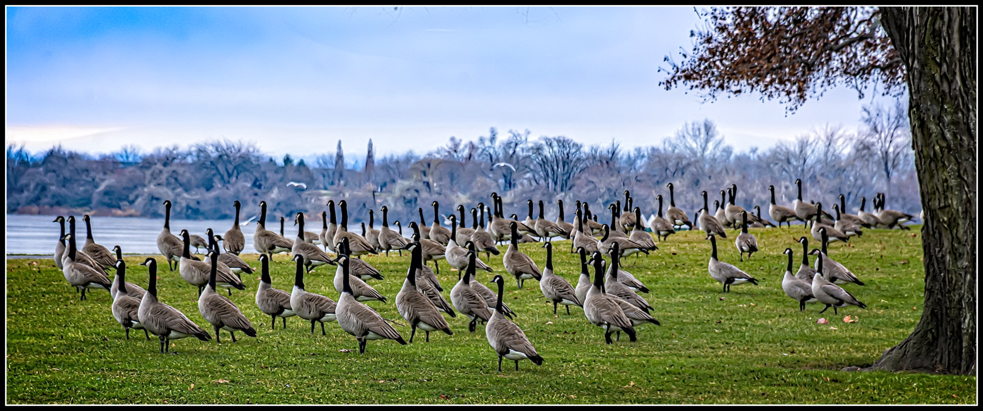 DSC_6069-Edit.jpg