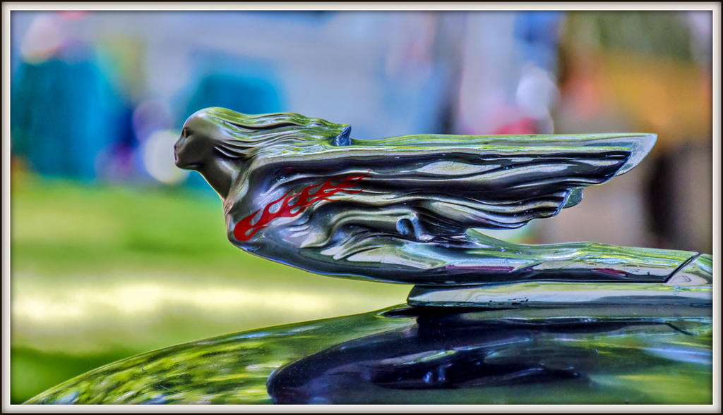 DSC_6072.jpg