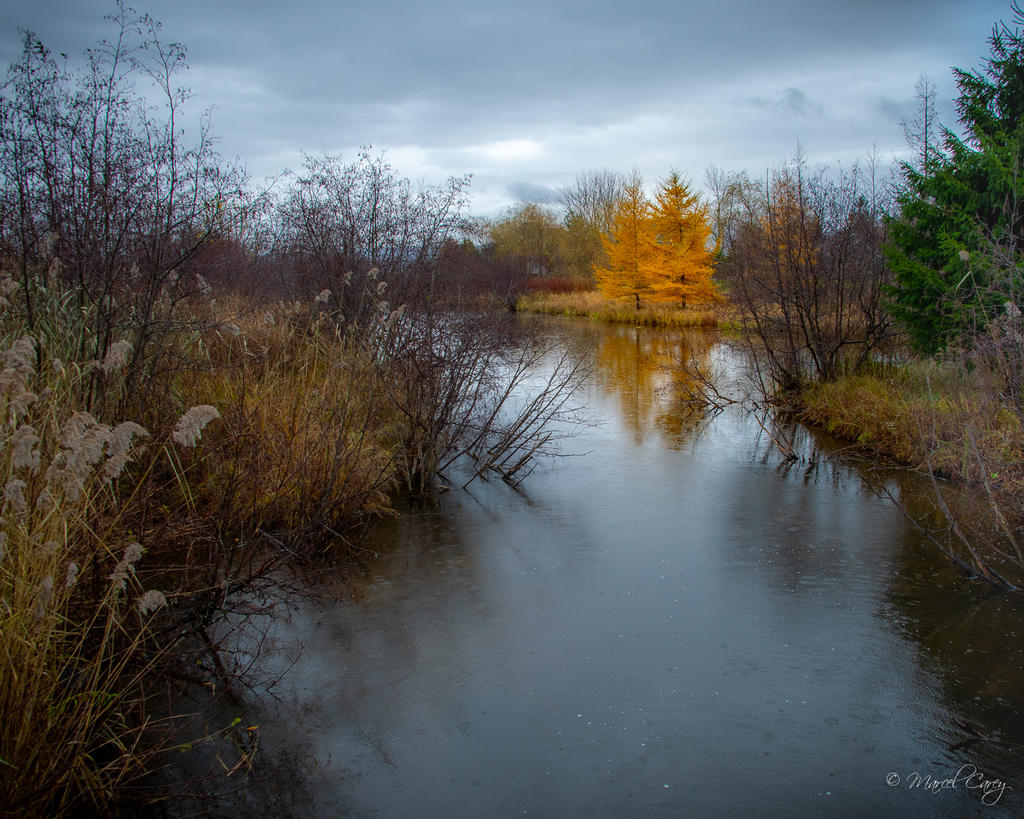 DSC_6072.jpg