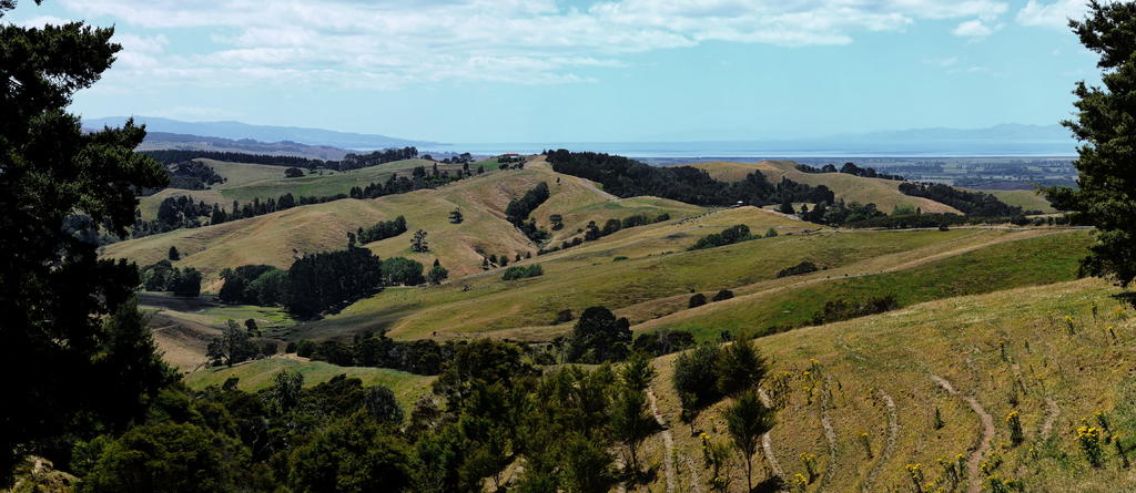 DSC_6072_stitch.jpg
