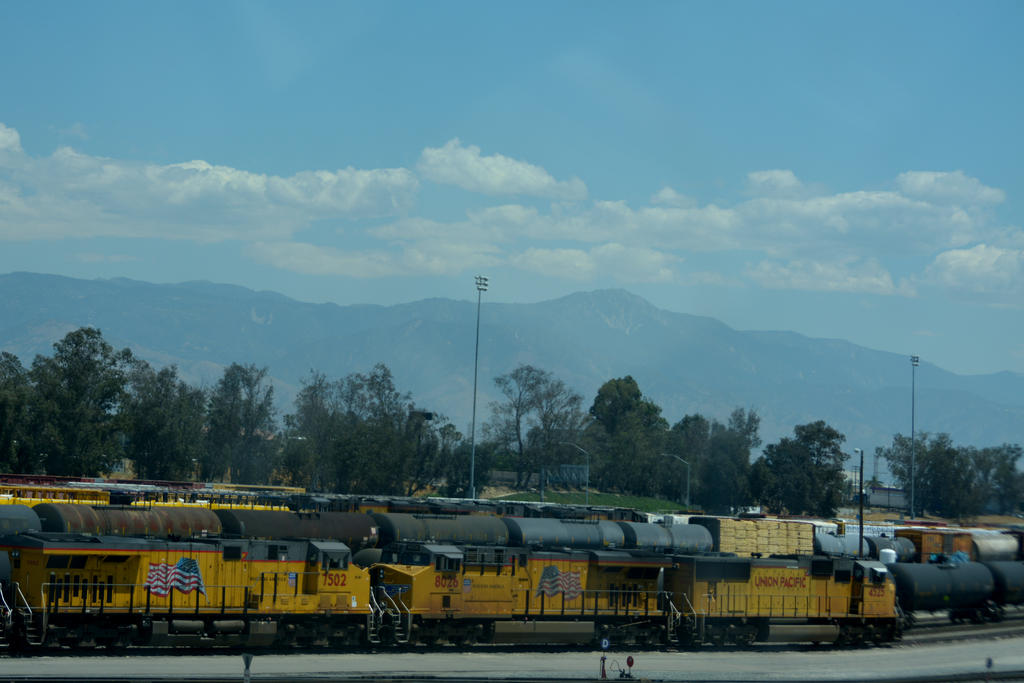 DSC_6077.jpg