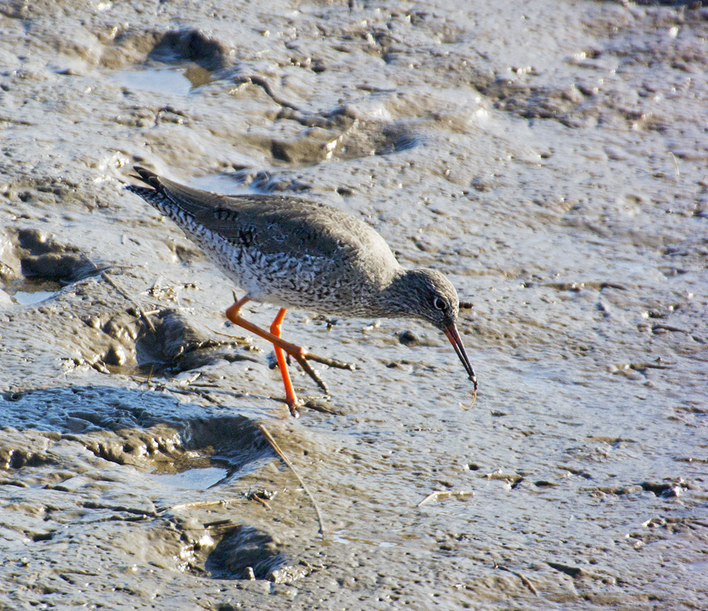 DSC_6077.jpg