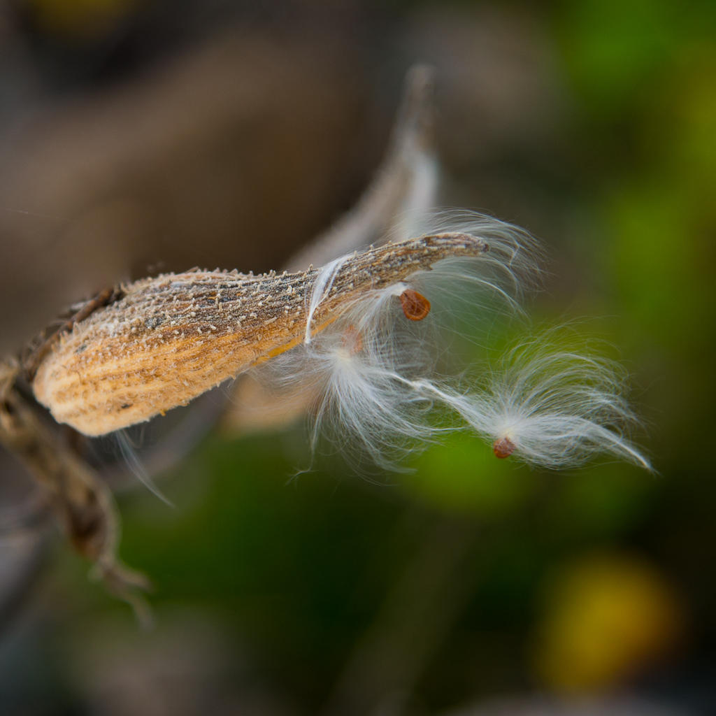 DSC_6082.jpg