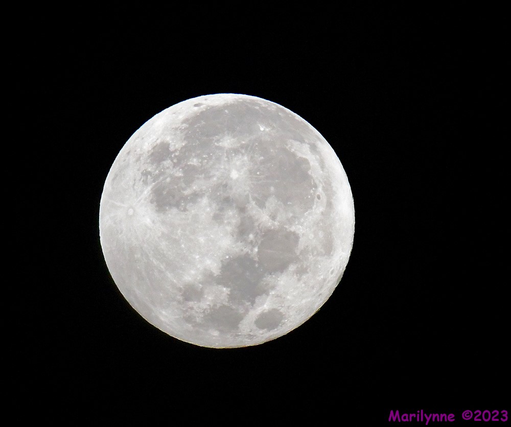 DSC_6082_001.JPG