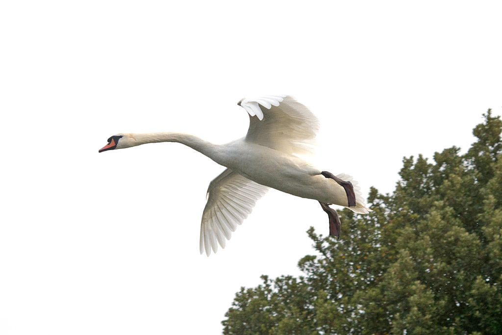 DSC_6097.jpg