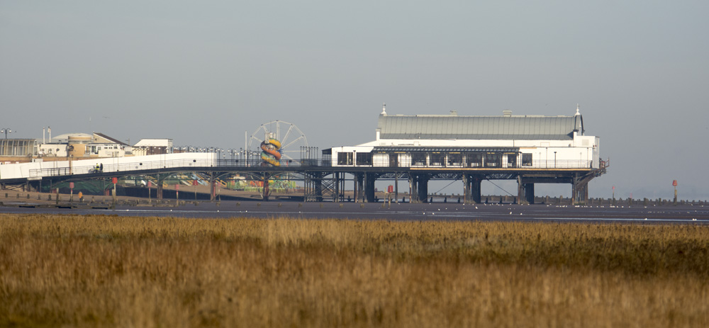 DSC_6100.jpg