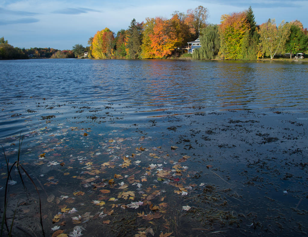 DSC_6101.jpg