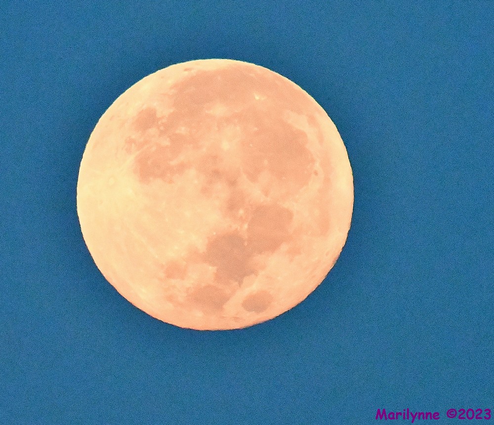 DSC_6102_001.JPG