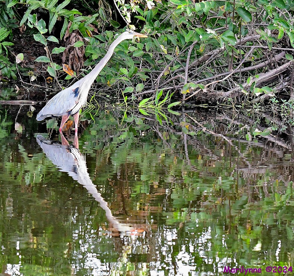 DSC_6102_001.JPG