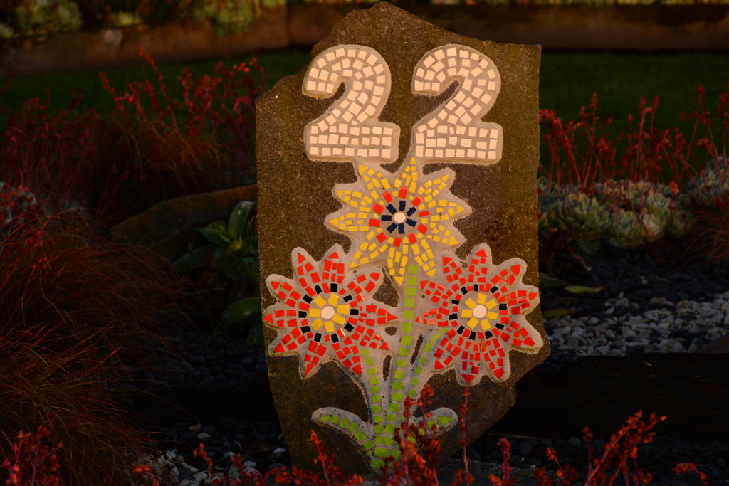 DSC_6105.jpg
