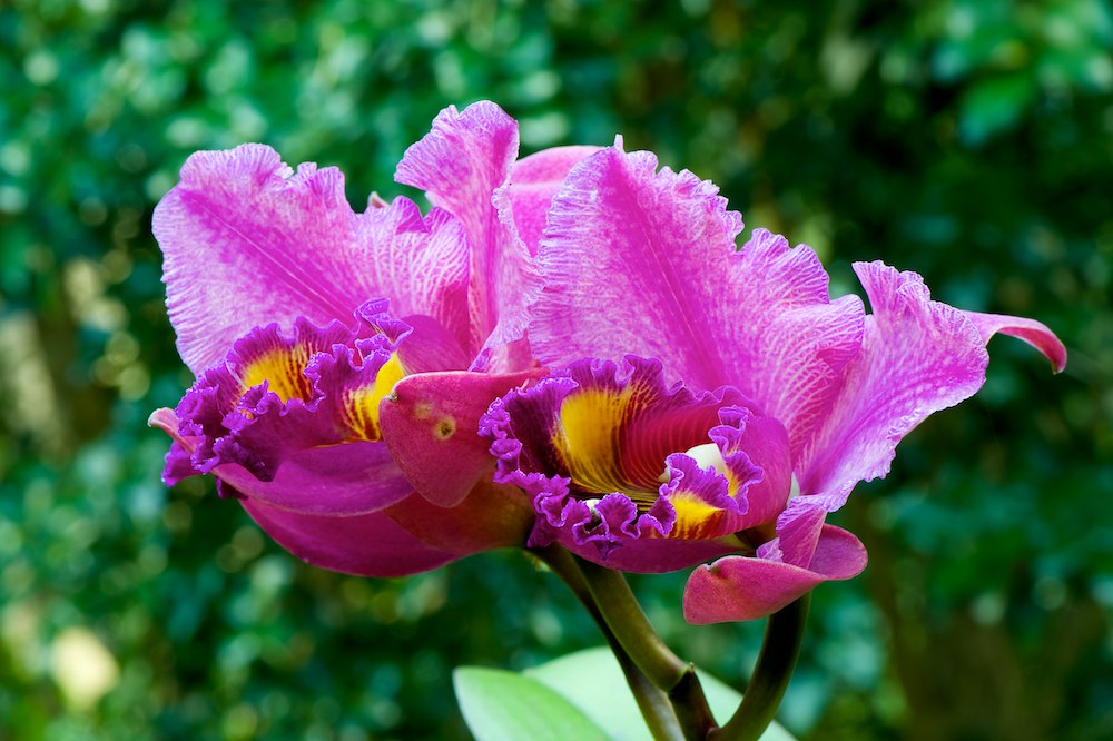 DSC_6108.jpg
