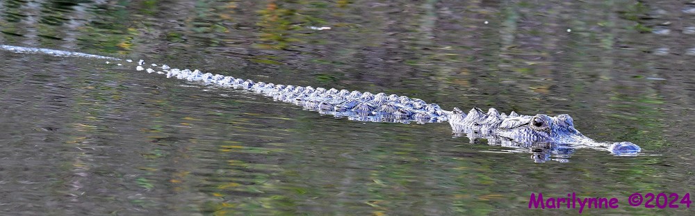 DSC_6109_stitch3_001.JPG