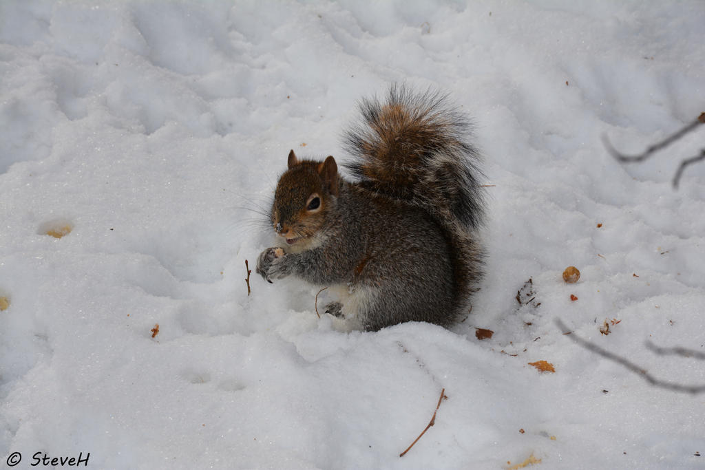 DSC_6110.jpg