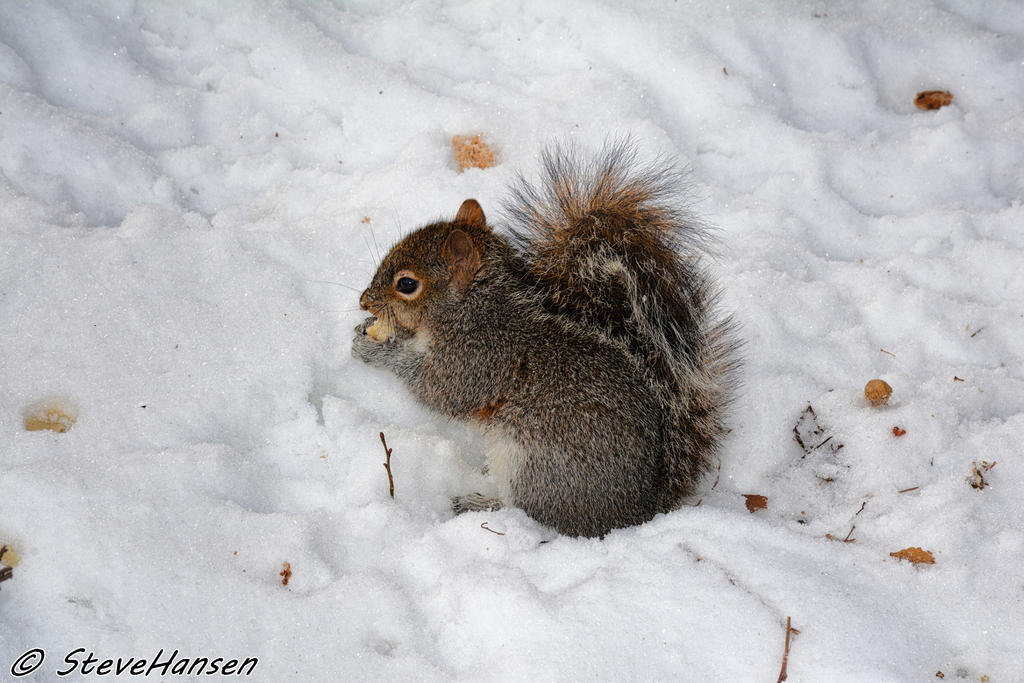 DSC_6111.jpg