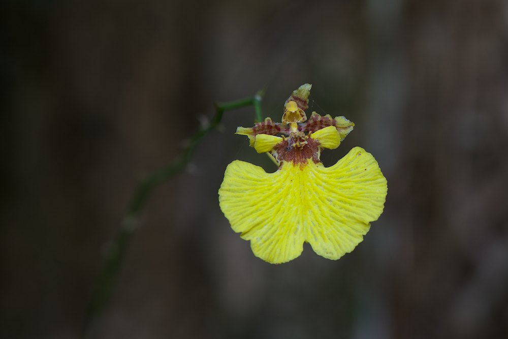 DSC_6111.jpg