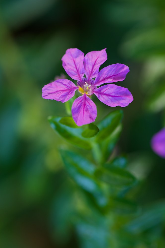 DSC_6113.jpg