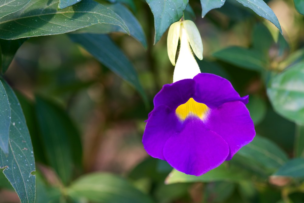 DSC_6115.jpg