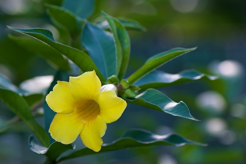 DSC_6117.jpg