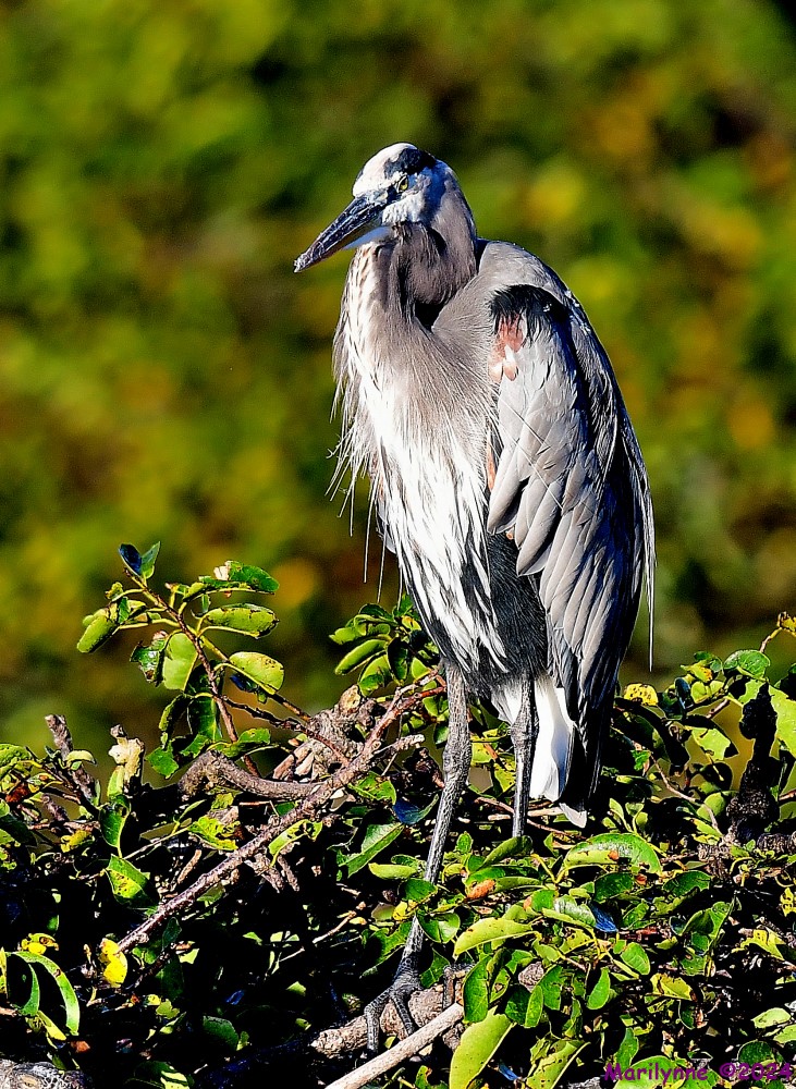 DSC_6120_001.JPG