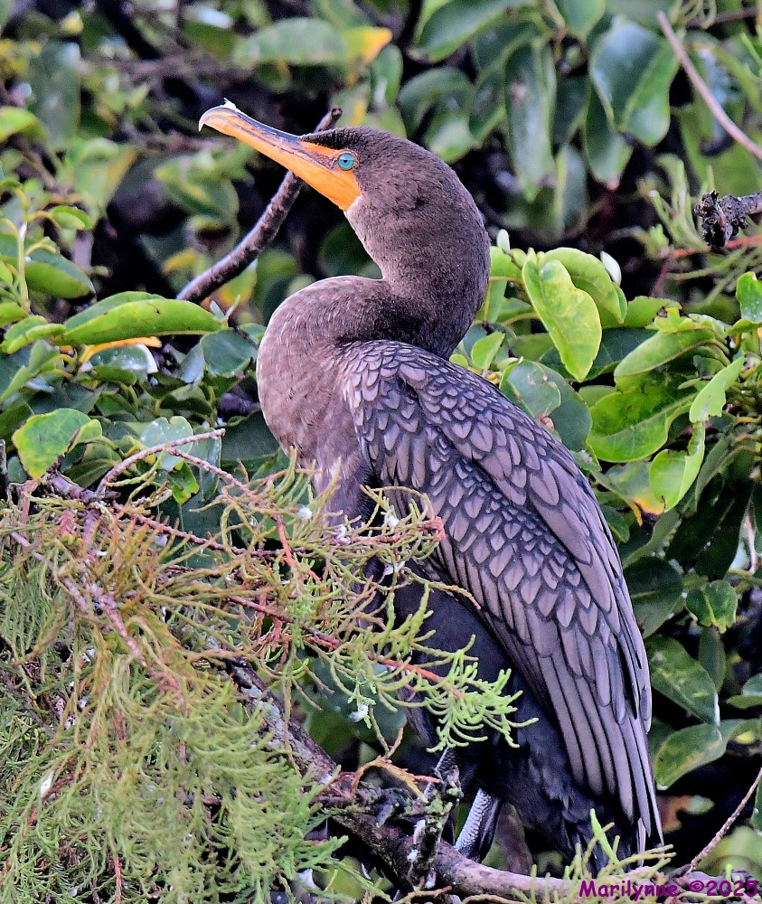 DSC_6120_001.JPG