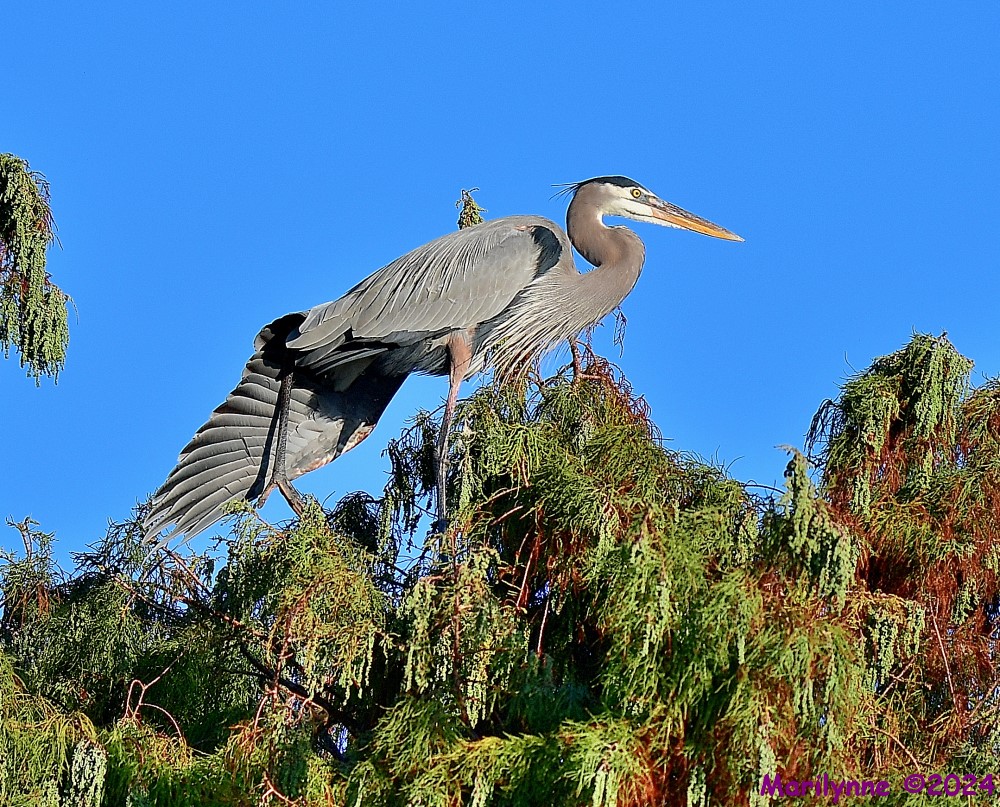 DSC_6121_001.JPG