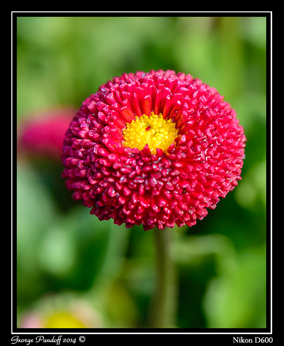 DSC_6129.jpg