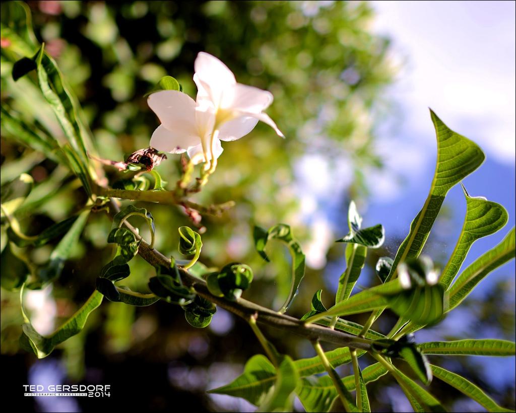 DSC_6135.jpg